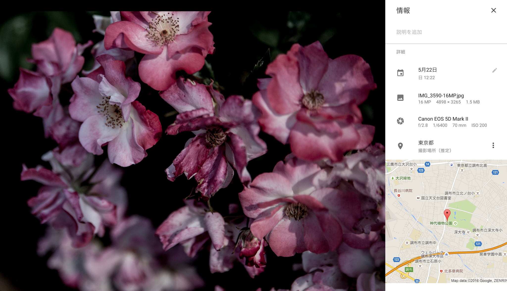 画像関連:Google Photo が自動的に場所を推定して表示するようになった
