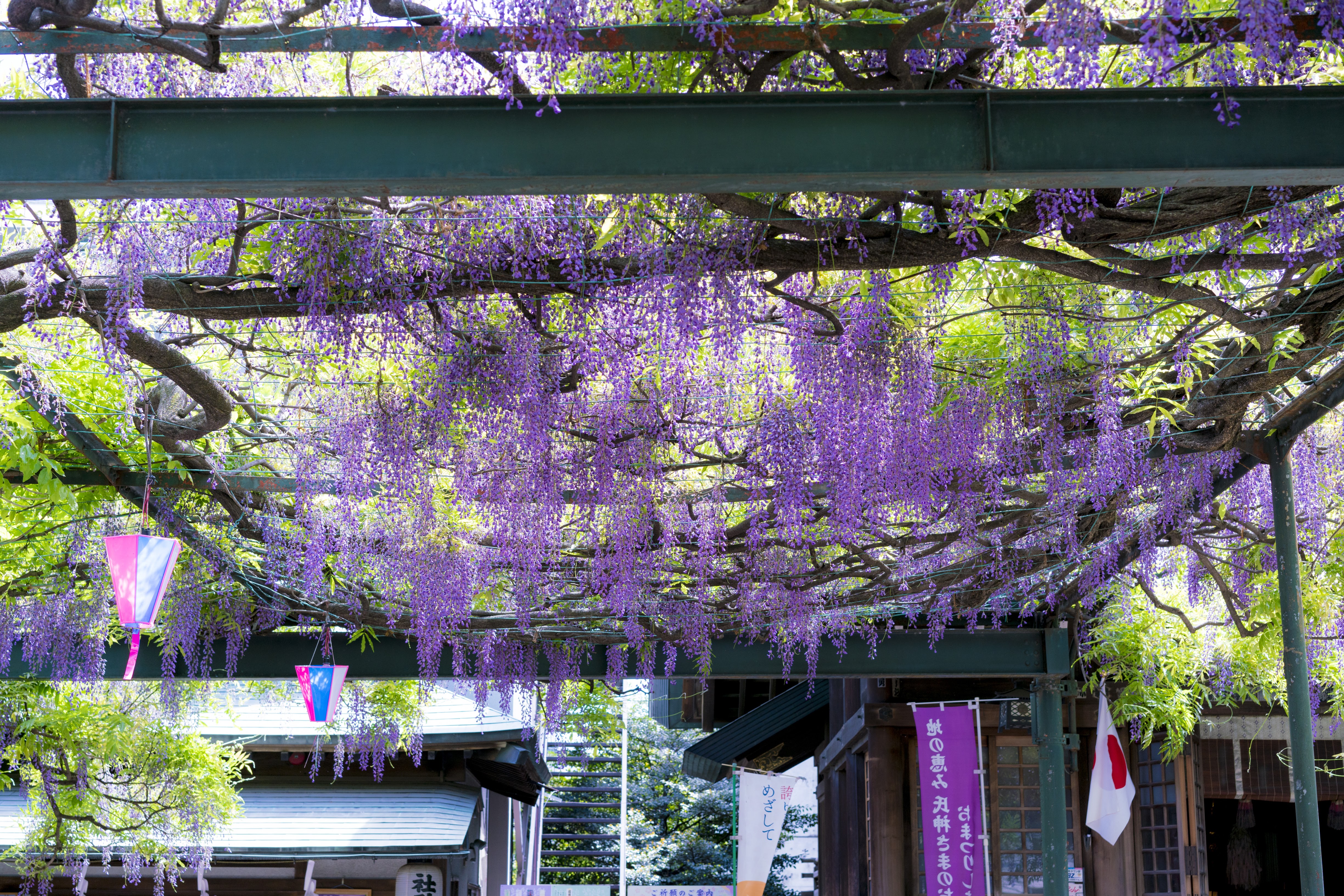 画像関連:国領神社