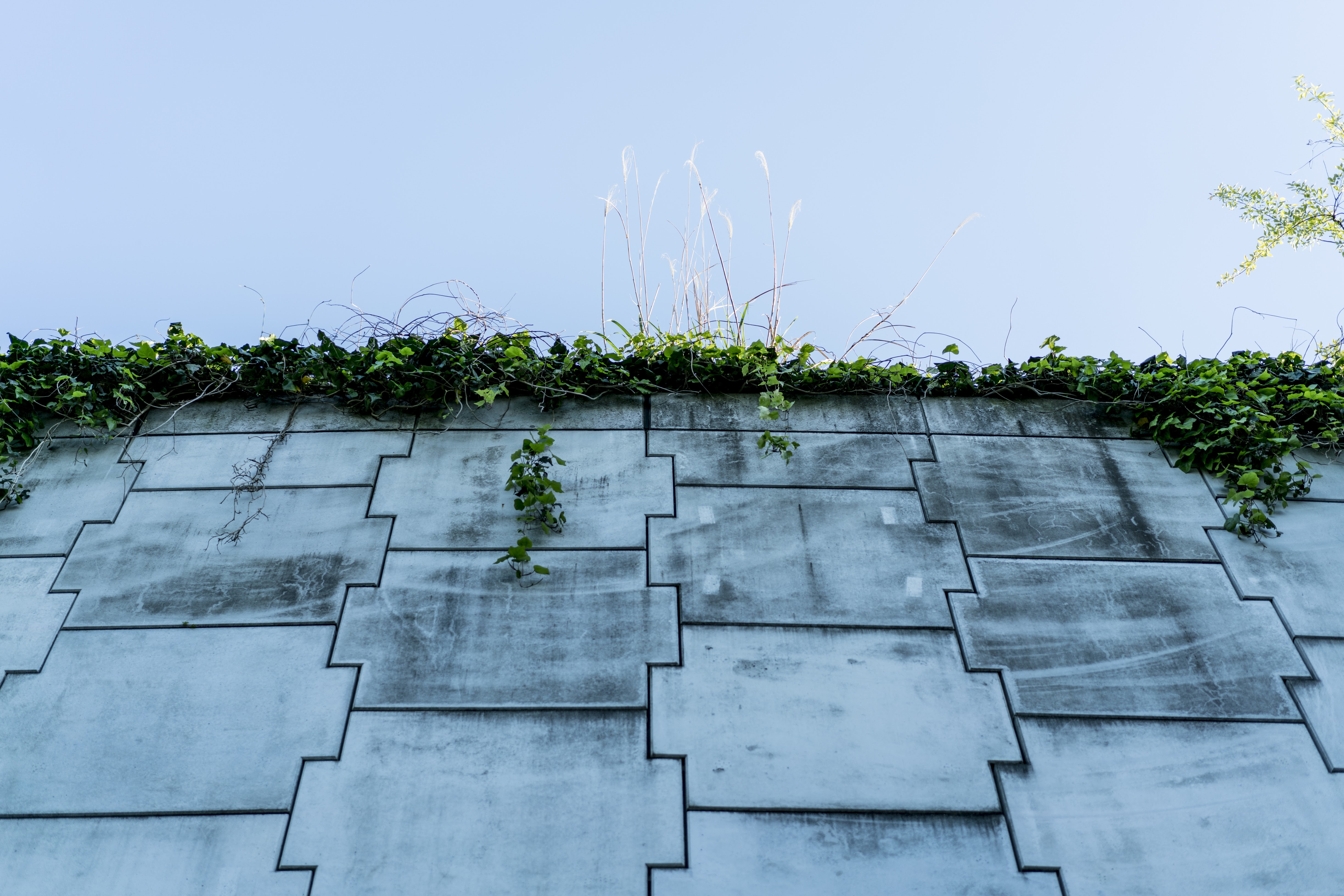 画像関連:SFロボットものに出てきそうな壁