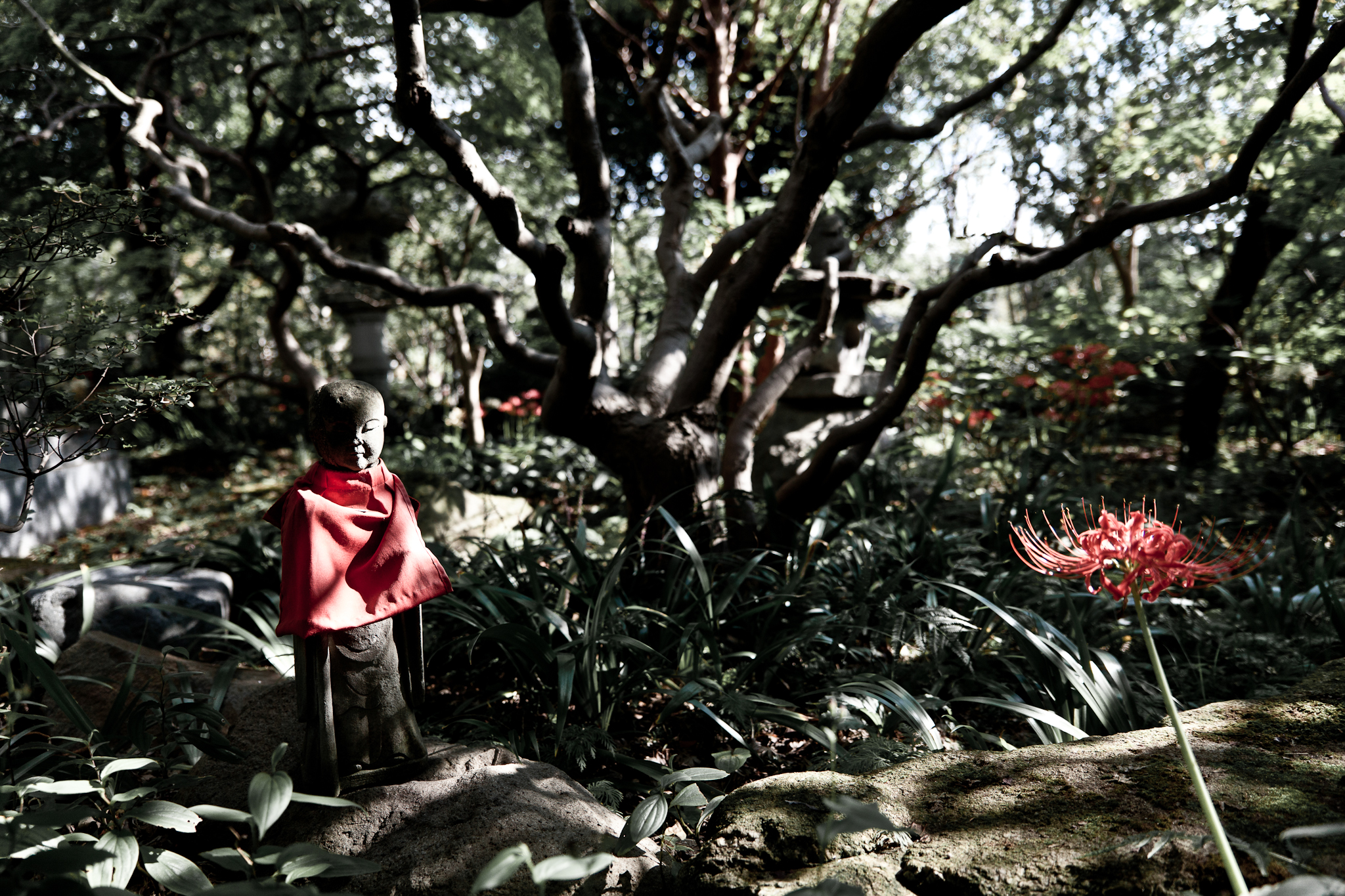 画像関連:常泉寺